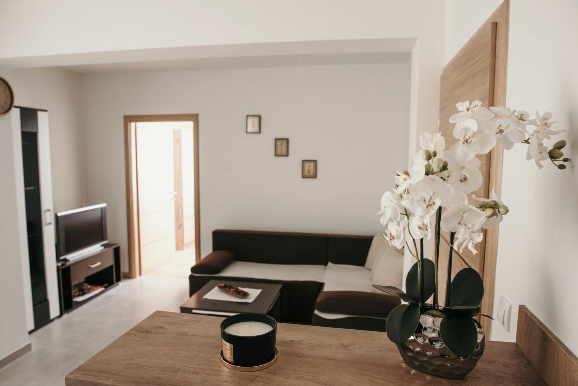 Apartman Krznaric Zupanja Exteriér fotografie